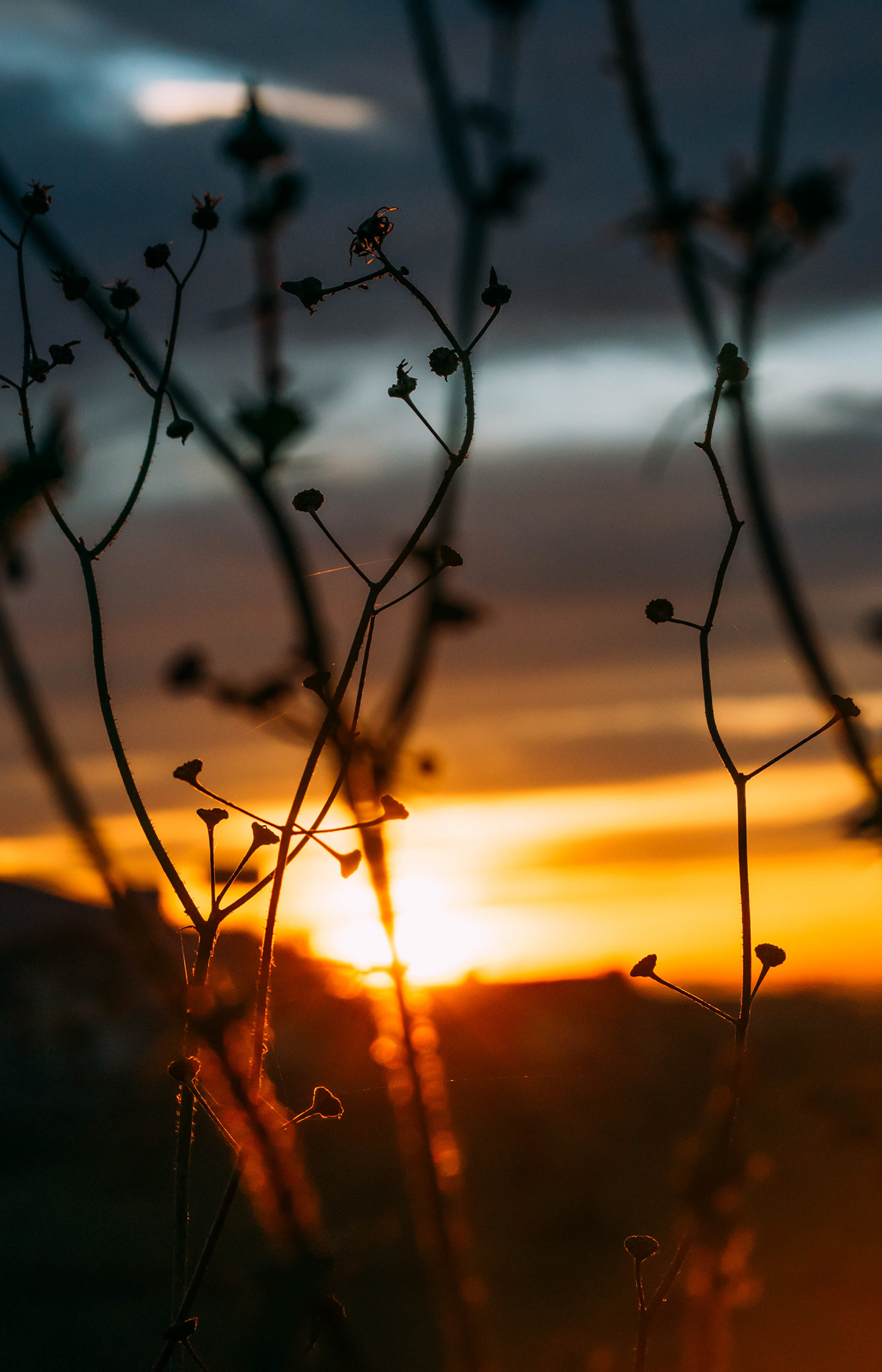 A RAY OF SUNSHINE - Obanda Photography